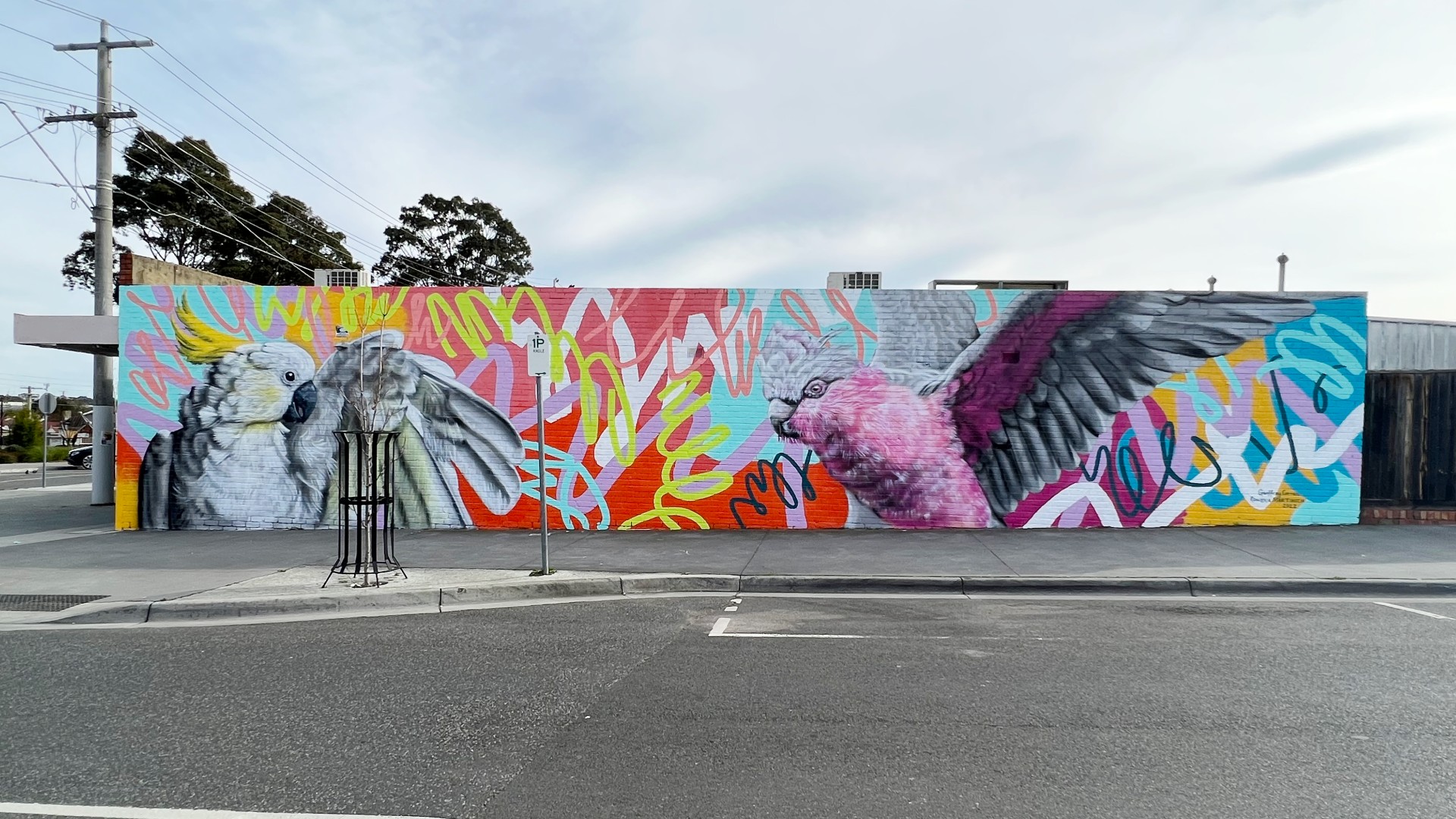 colourful mural of two cockatoos with their wings spread