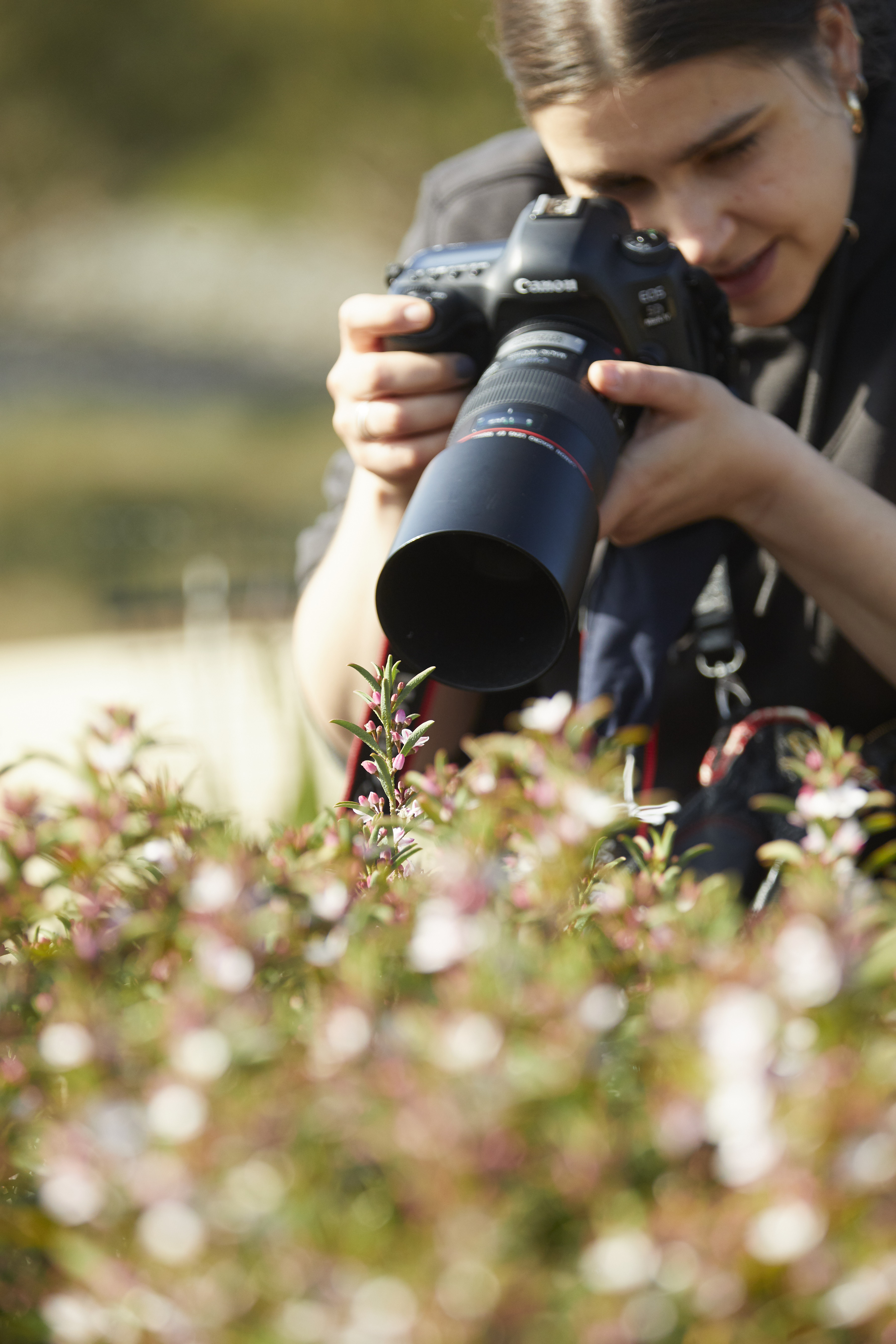 camera photography nature