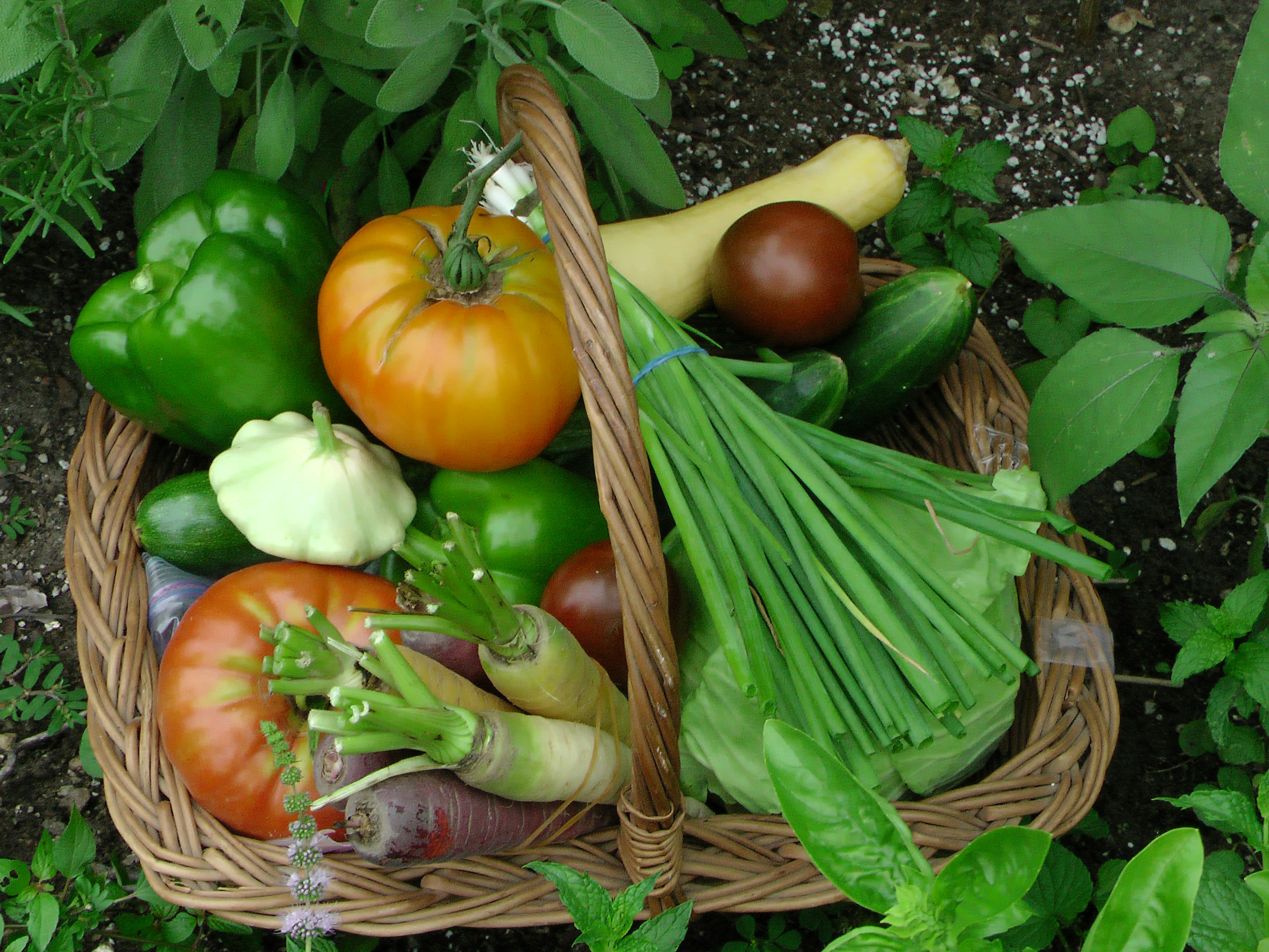 Fresh vegetables