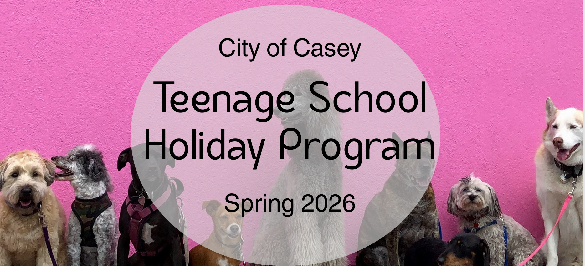 teenage school program