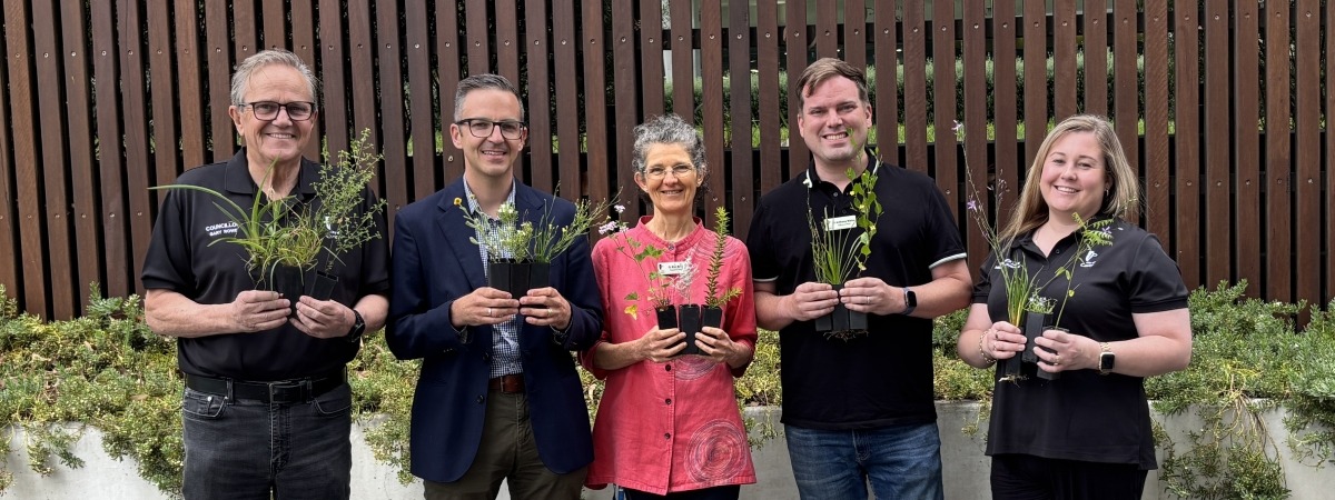Community plant giveaway councillors
