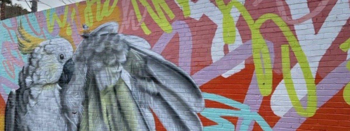 Autumn Place cockatoo mural