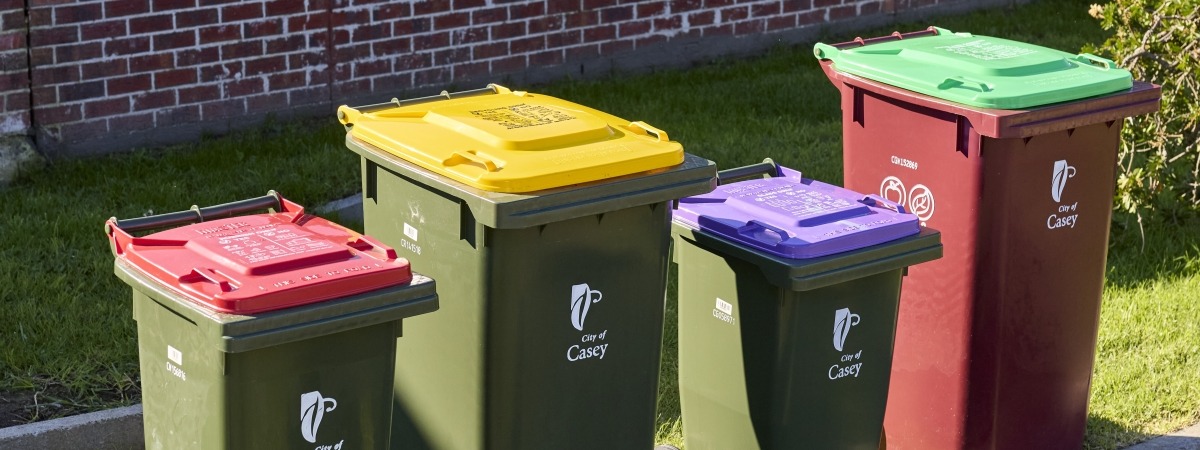 Four bins on a nature strip. general rubbish with a red lid, recycling with a yellow lid, glass recycling with a purple lid and FOGO with a green lid. 