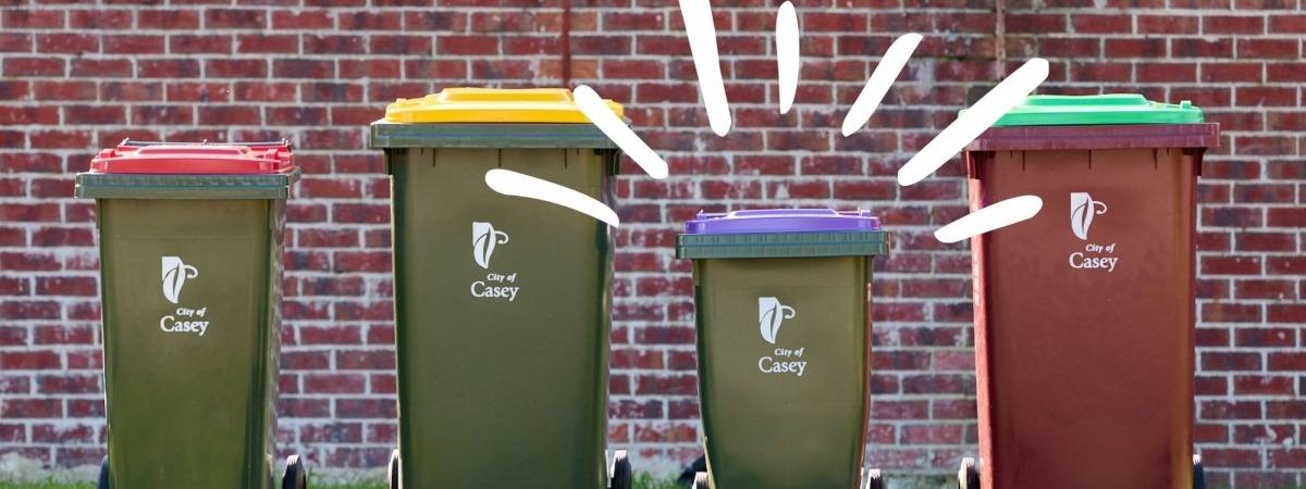 The four bins with the purple one highlighted