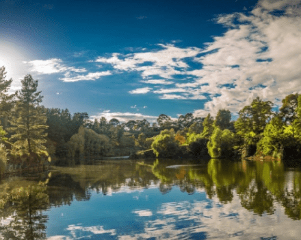 Wilson Botanic Park Berwick City Of Casey