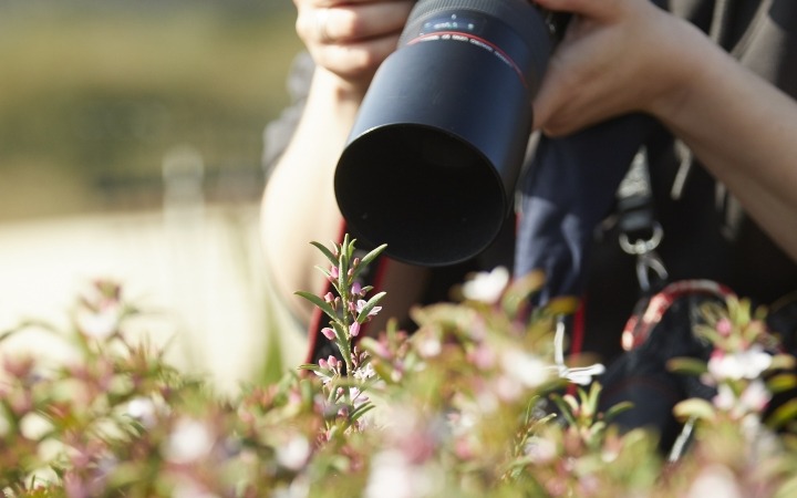 camera photography nature