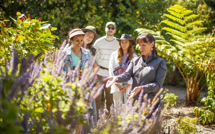 Free Aust Garden Walk