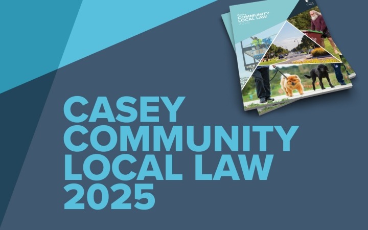 Image of cover of Local Law