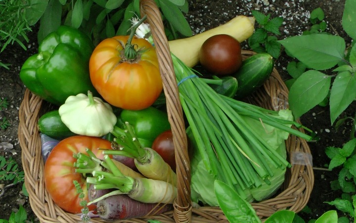 Fresh vegetables