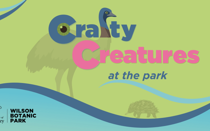 WBP - Crafty Creatures 