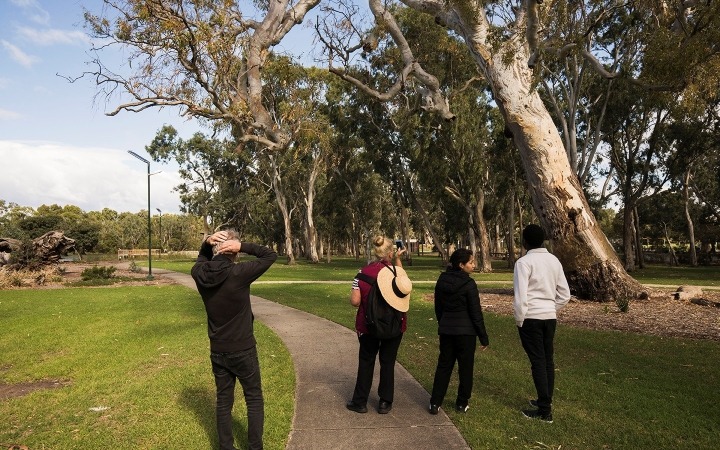 Group of people walking through parklands