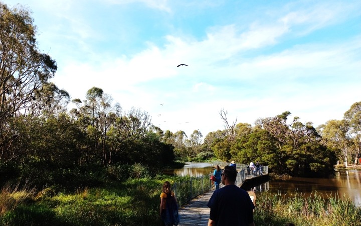 Myuna Farm Pollinator Event