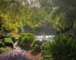 Picture of greenery and trees overlooking the lake at Wilson Botanic Park Berwick. 