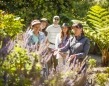 Free Aust Garden Walk