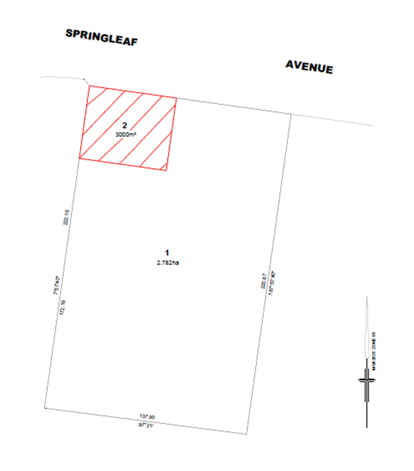 Springleaf Avenue